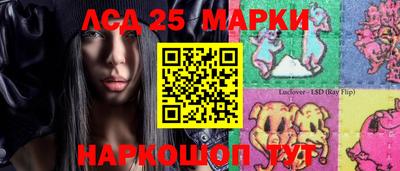 гашик Жуковский