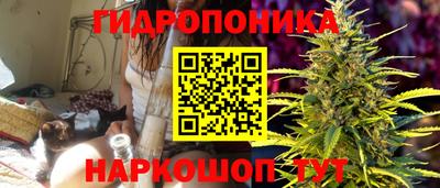 a pvp Заводоуковск